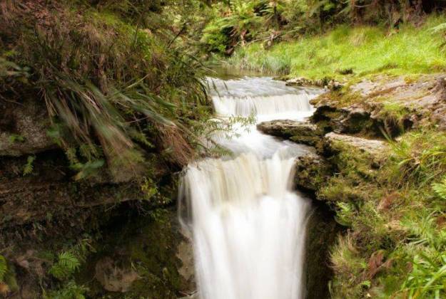 whanganui river kayak tour